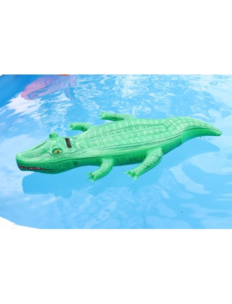 Crocodile 168cm