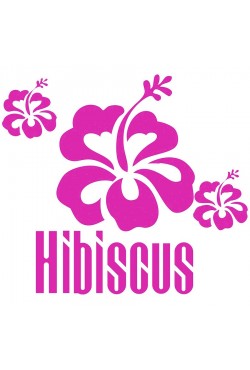 Hibiscus