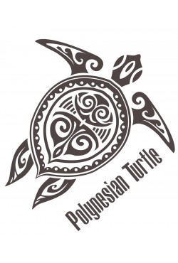 Polynesian Turtle